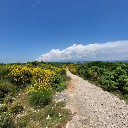 Bora Seaview Διαμέρισμα Μεντουλίν