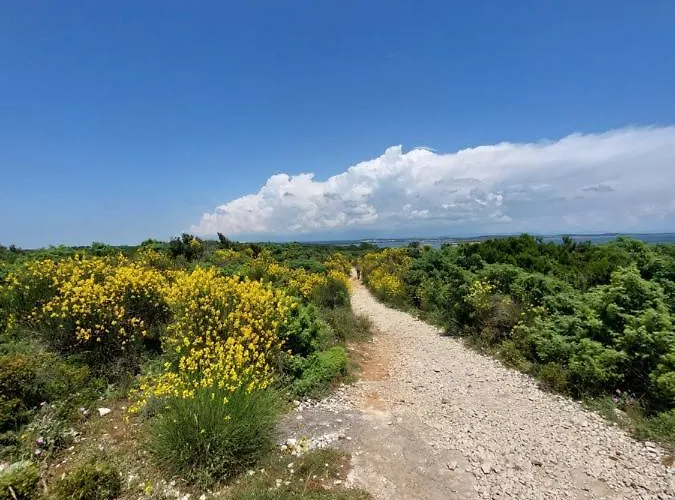 Bora Seaview Apartman Medulin